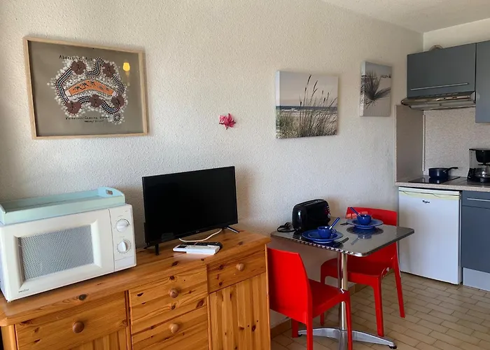 297 4 Pers Port Soleil Vue Piscine